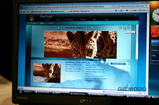 Illustration for article titled Webguide for Media Center Streams All Your Content to Any Browser